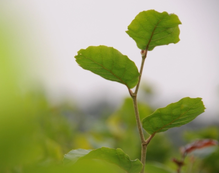 Unsere Aufmerksamkeit gehört dem Naturschutz
